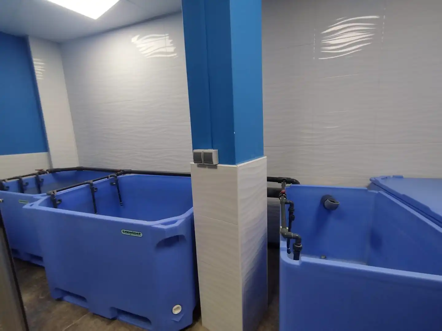 Badezimmer von Geschaftsraum zum Verkauf in Ferrol mit Möbliert