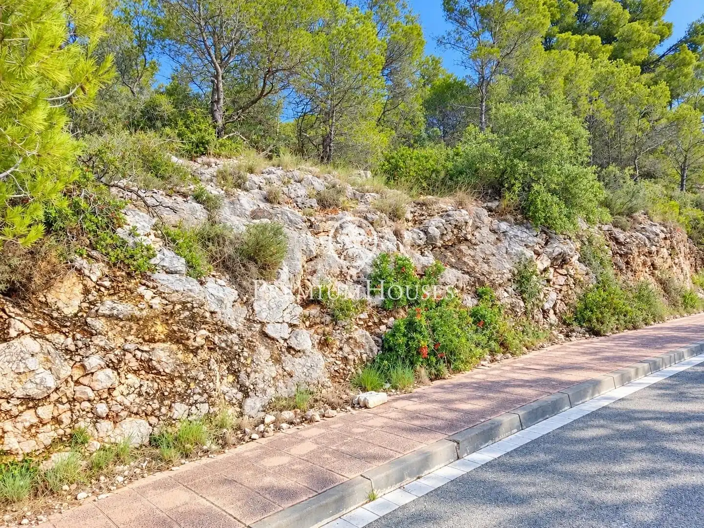 Residential land for sale in Mas Alba, imagen 5