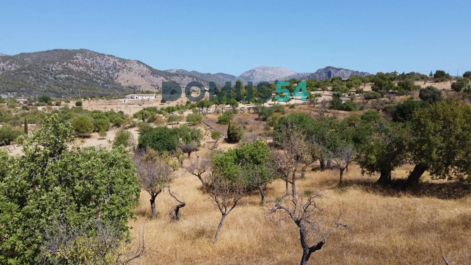 Land for sale in Selva