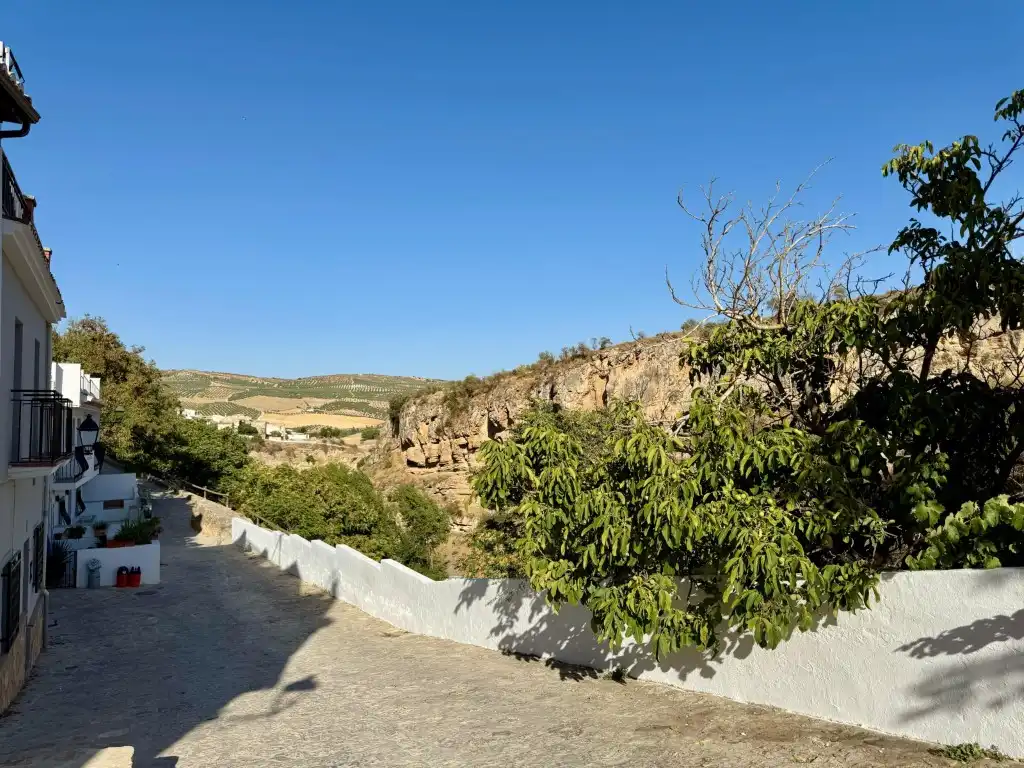 Maison avec terrasse à vendre à Alhama de Granada, imagen 46
