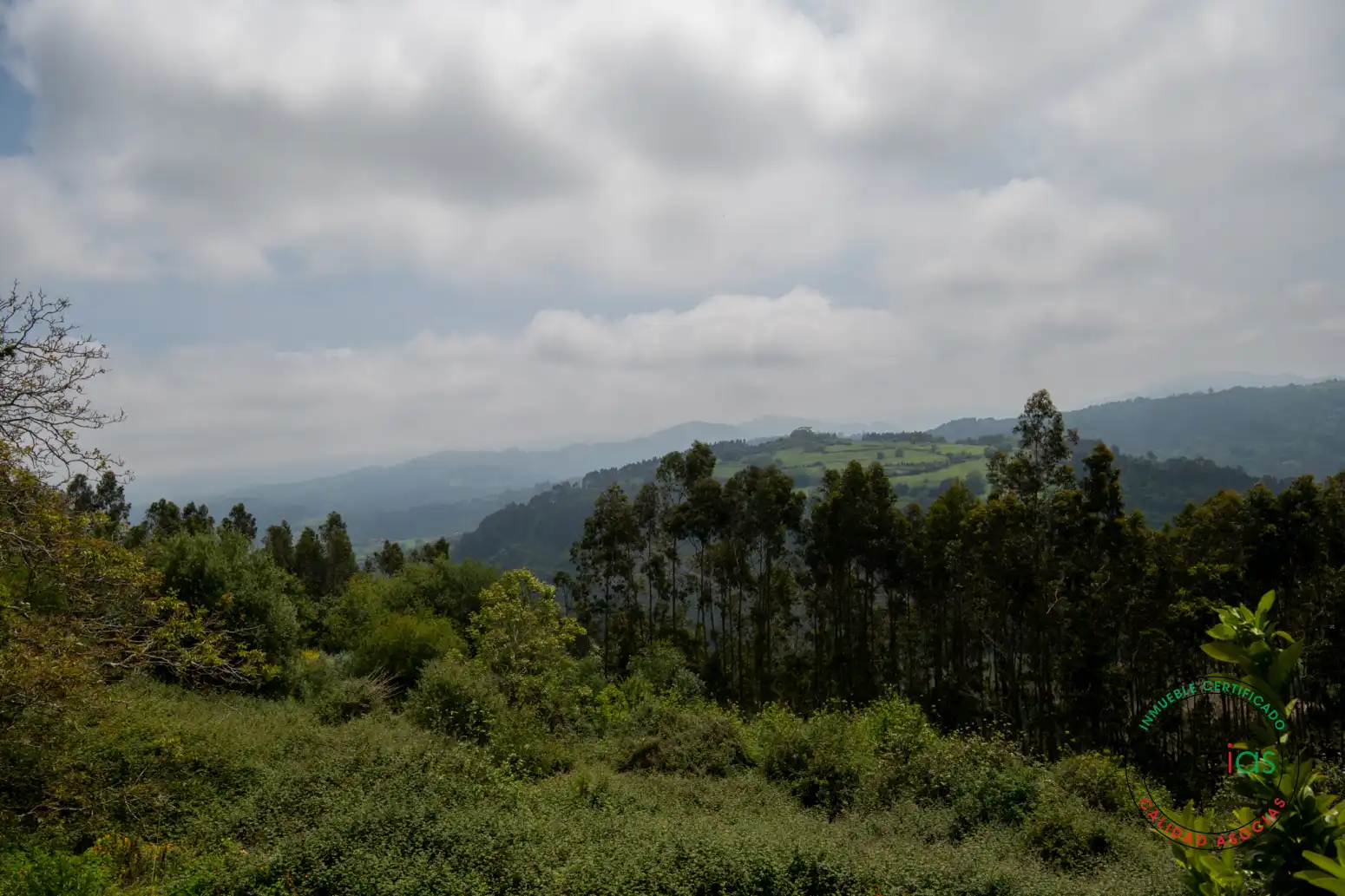 Vista exterior de Casa o chalet en venta en Colunga con Calefacción, Jardín privado y Terraza