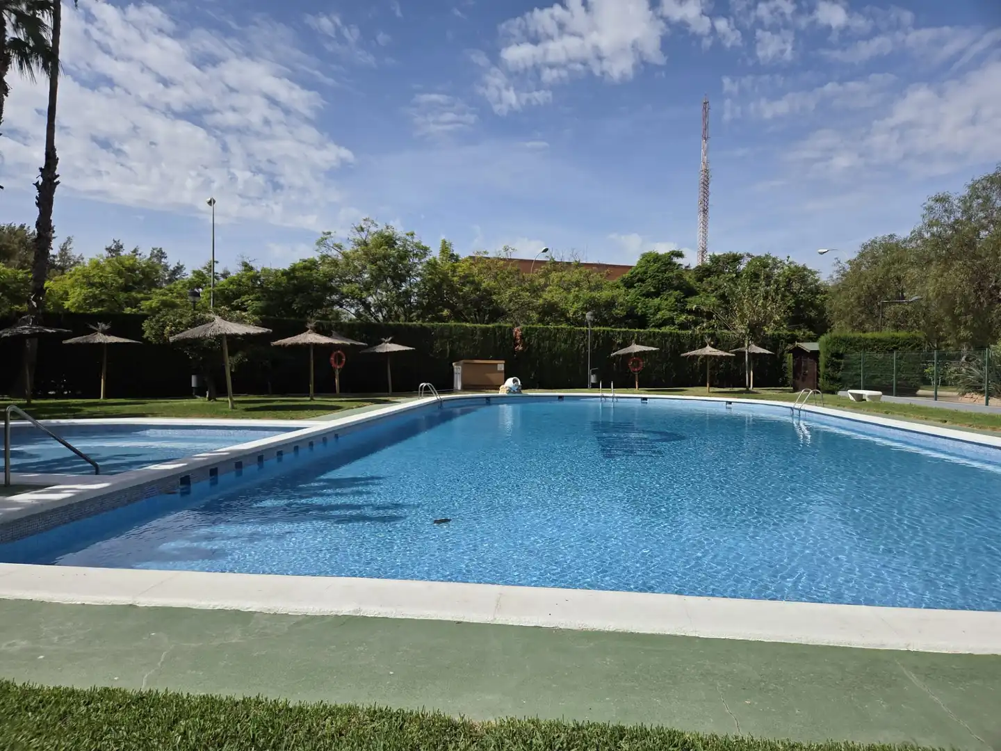 Swimming pool of Flat for sale in Benalúa - Babel