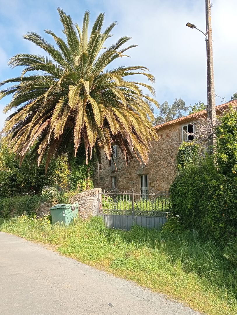 Vista exterior de Finca rústica en venda en Coristanco