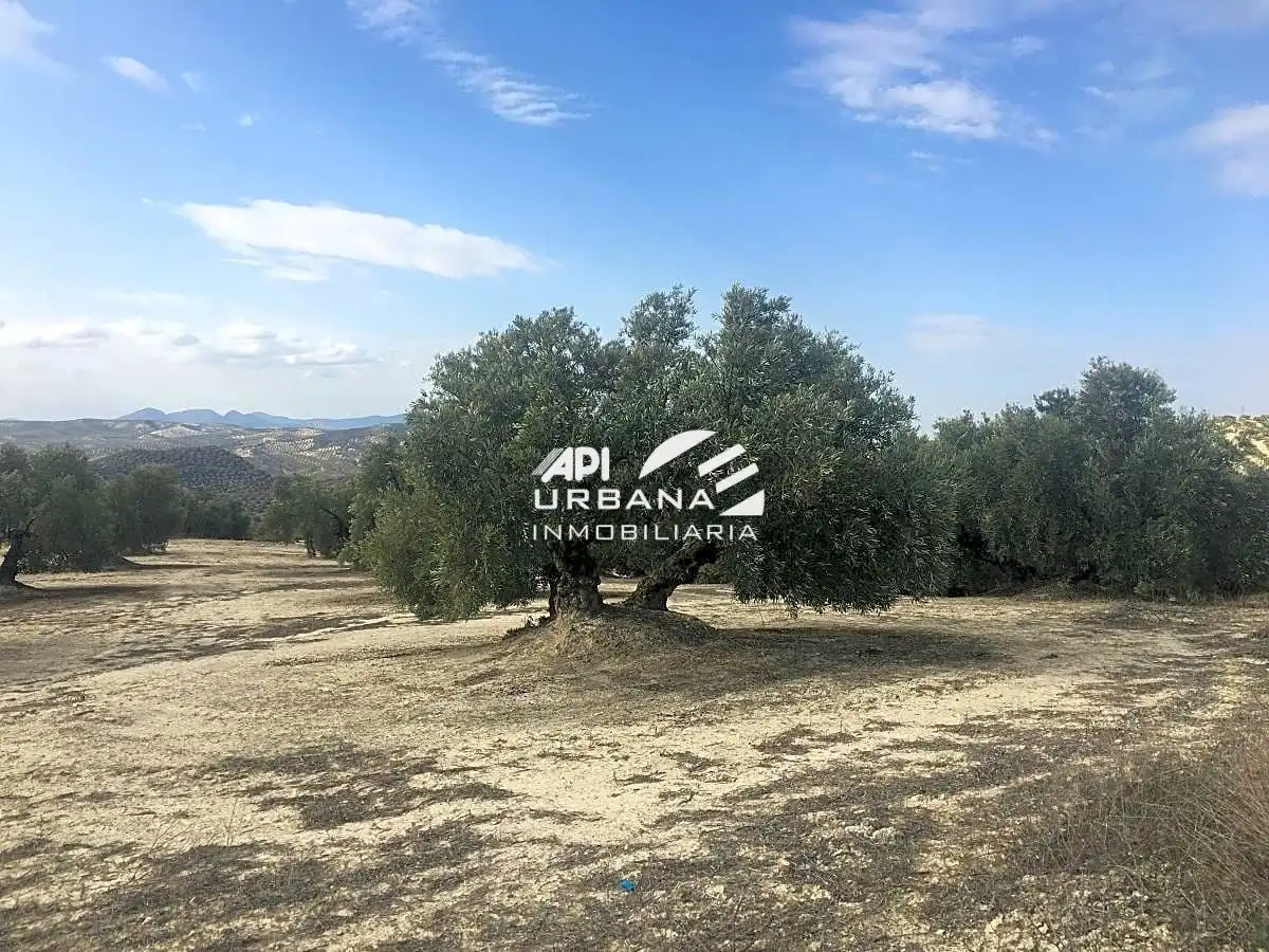 Terrenys i solars en venda a Partido Castillo Anzur Y Barranquillos, imagen 6