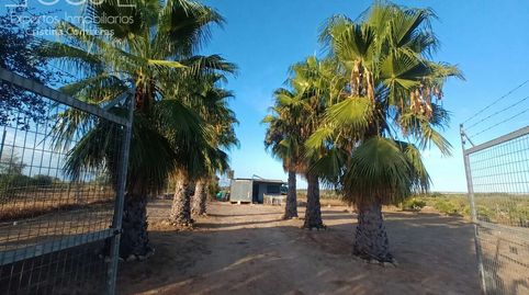 Foto 2 de Finca rústica en venda a Bollullos Par del Condado, Huelva