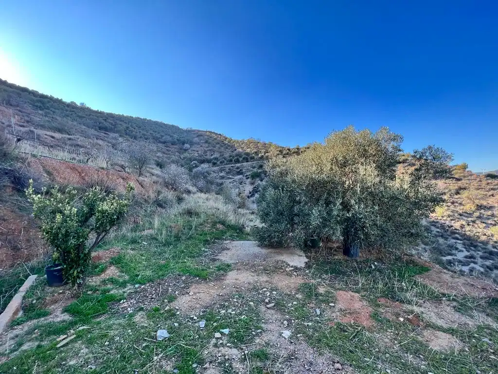 Finca rústica en venda en Vélez de Benaudalla amb Traster