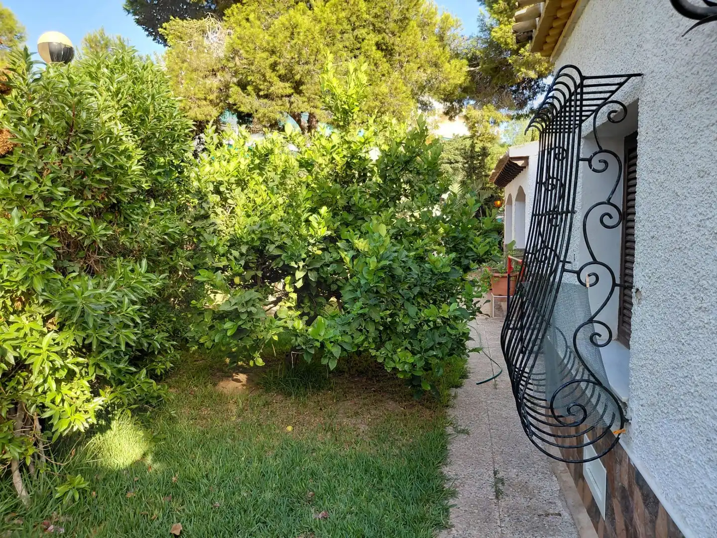 Garden of Houses for sale in Orihuela