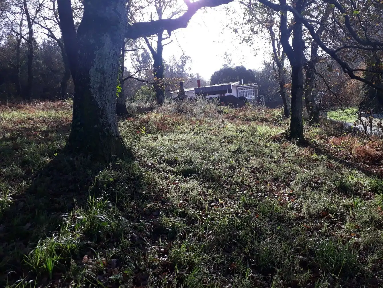 Residential land for sale in Nós, imagen 5