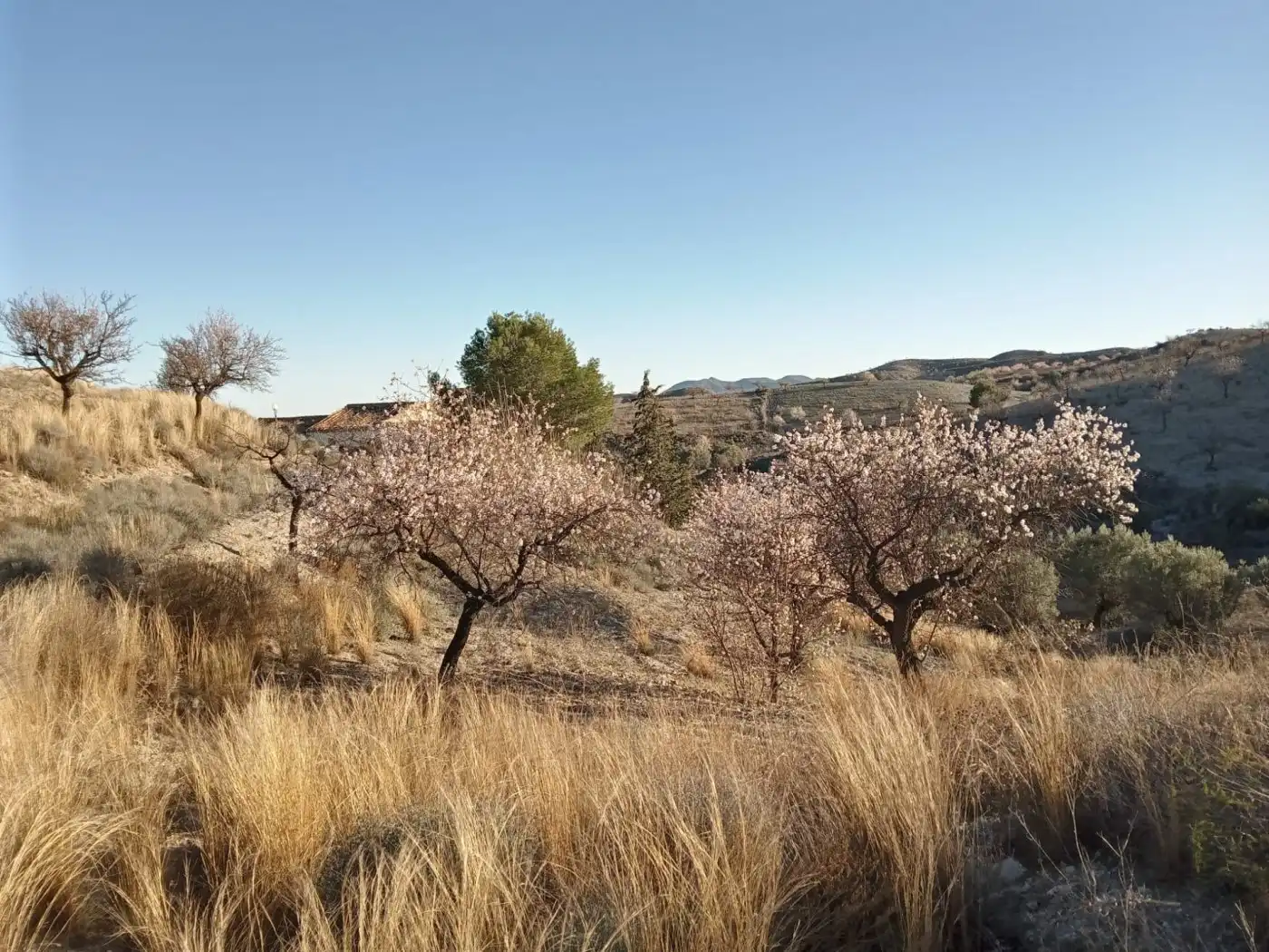 Country homes for sale in Puerto Lumbreras