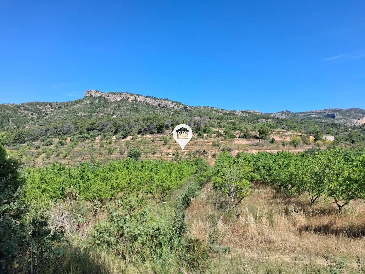 Land for sale in Madrid