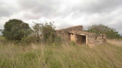 Casa de campo para reformar en Muro., imagen 5