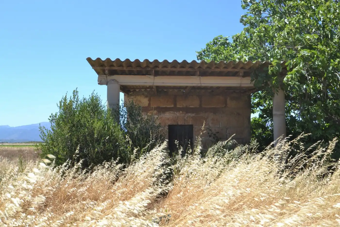 Casa rústica en venta en Muro, imagen 2