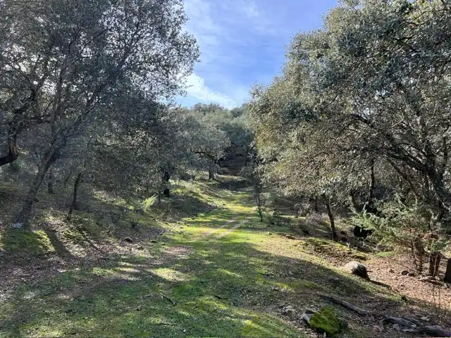 Terreno en venta en Almendral de la Cañada, Toledo