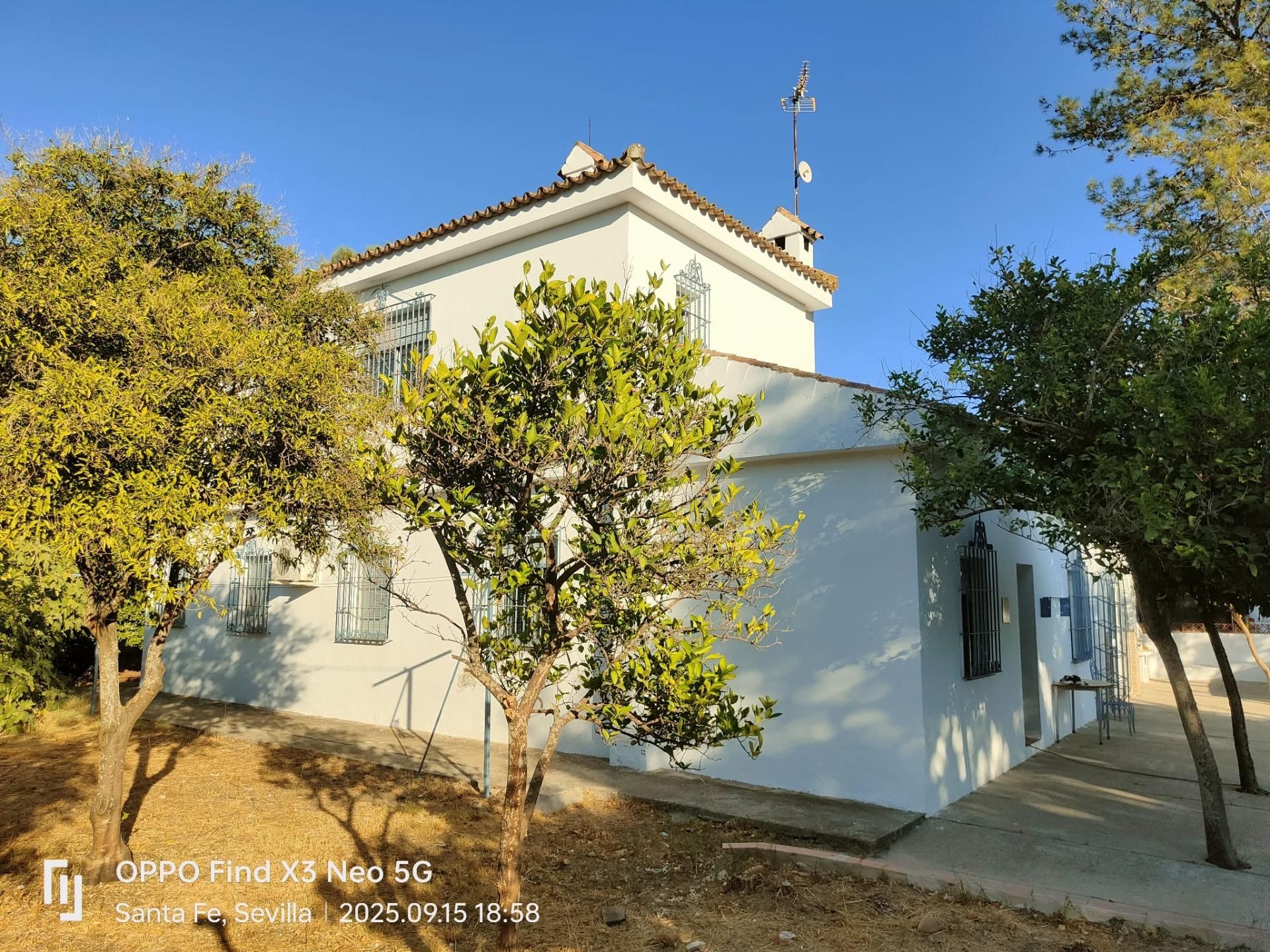 Vista exterior de Casa o chalet en venta en El Viso del Alcor con Aire acondicionado, Jardín privado y Piscina