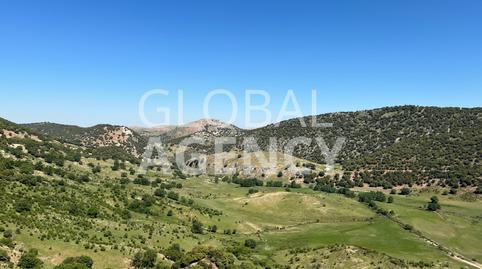 Foto 3 de Finca rústica en venda a Belén - San Roque, Jaén