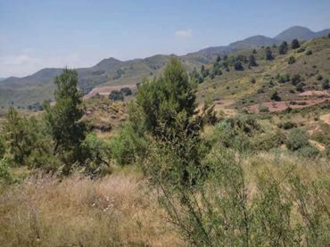 Terrain rustique à vendre à Lorca Ciudad