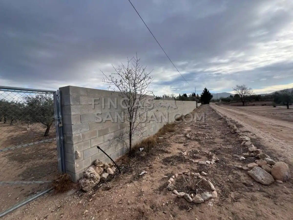 Country homes for sale in Biar
