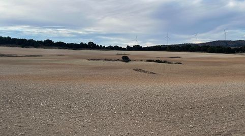 Finca rustica de 538 hectareas en la provincia de Albacete, immagine 5