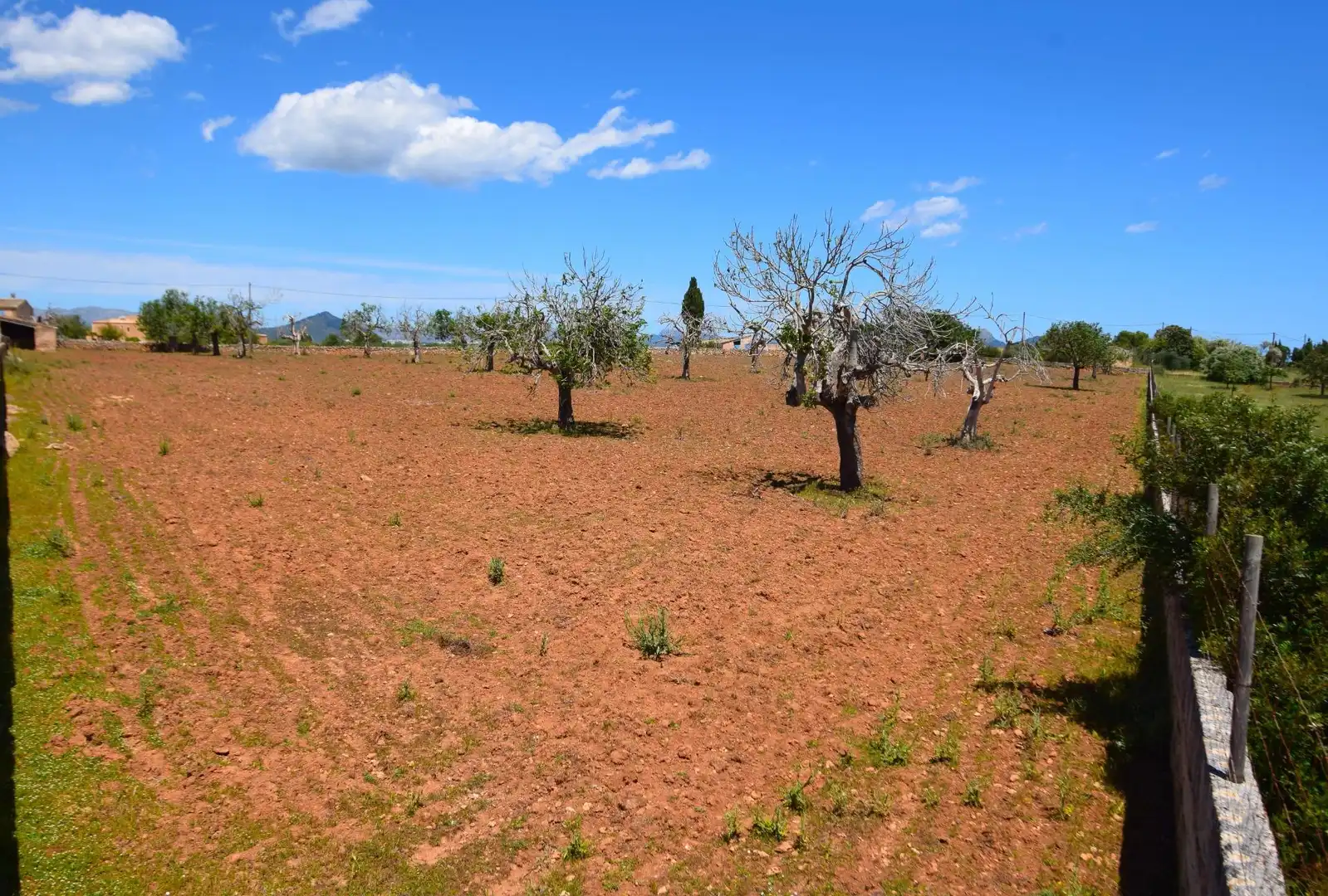 Residential land for sale in Santa Margalida Poble
