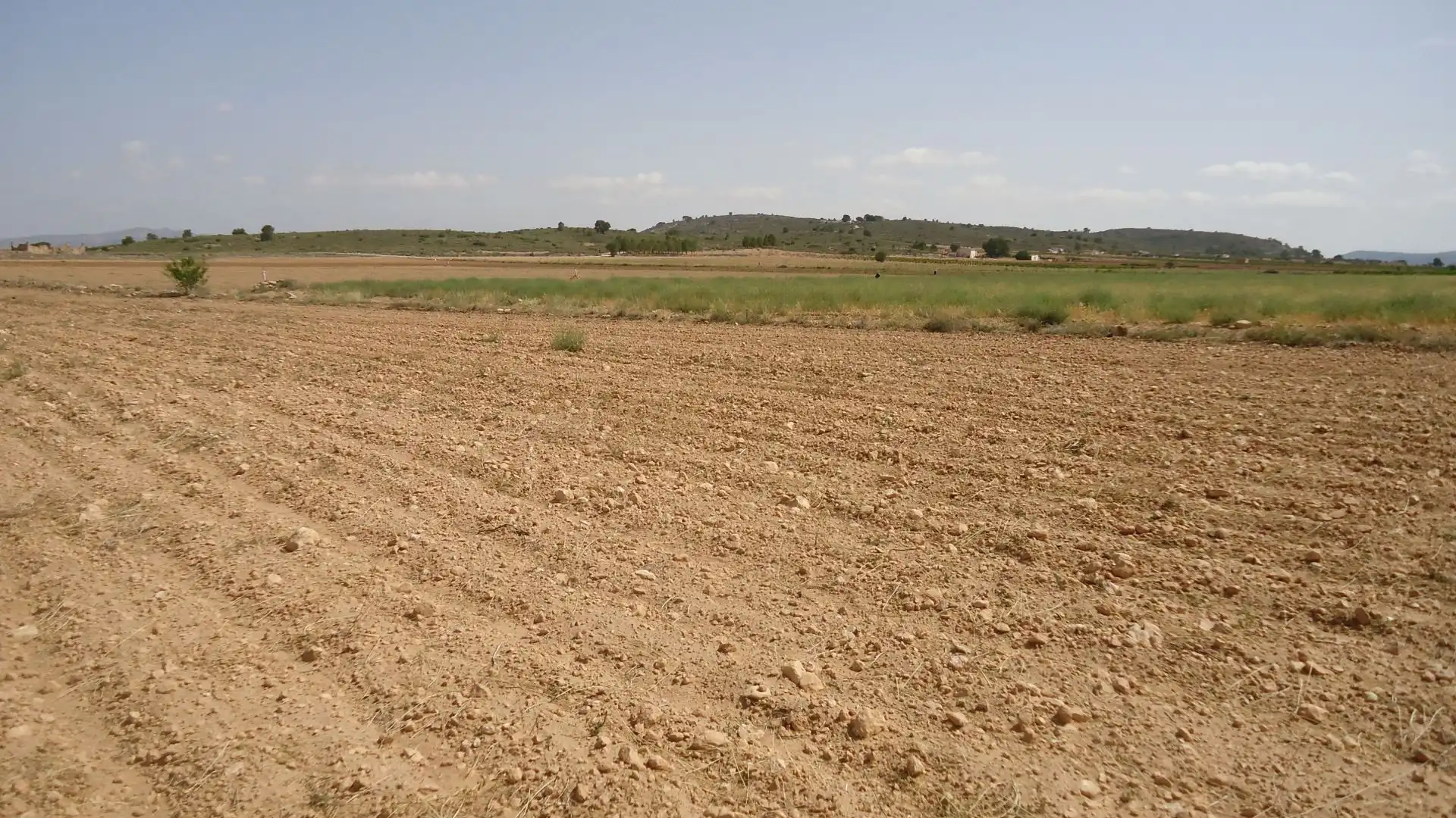 Terreni e lotti in vendita a Yecla, imagen 7