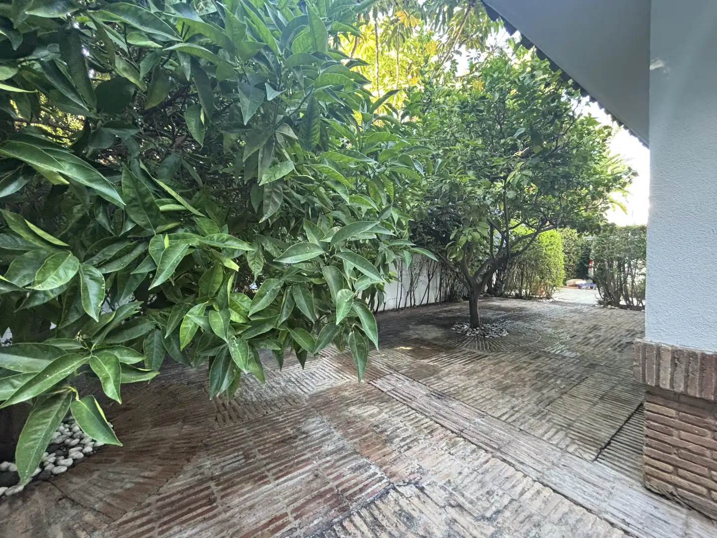 Jardí de Casa o xalet en venda en Marbella amb Aire condicionat, Jardí privat i Terrassa