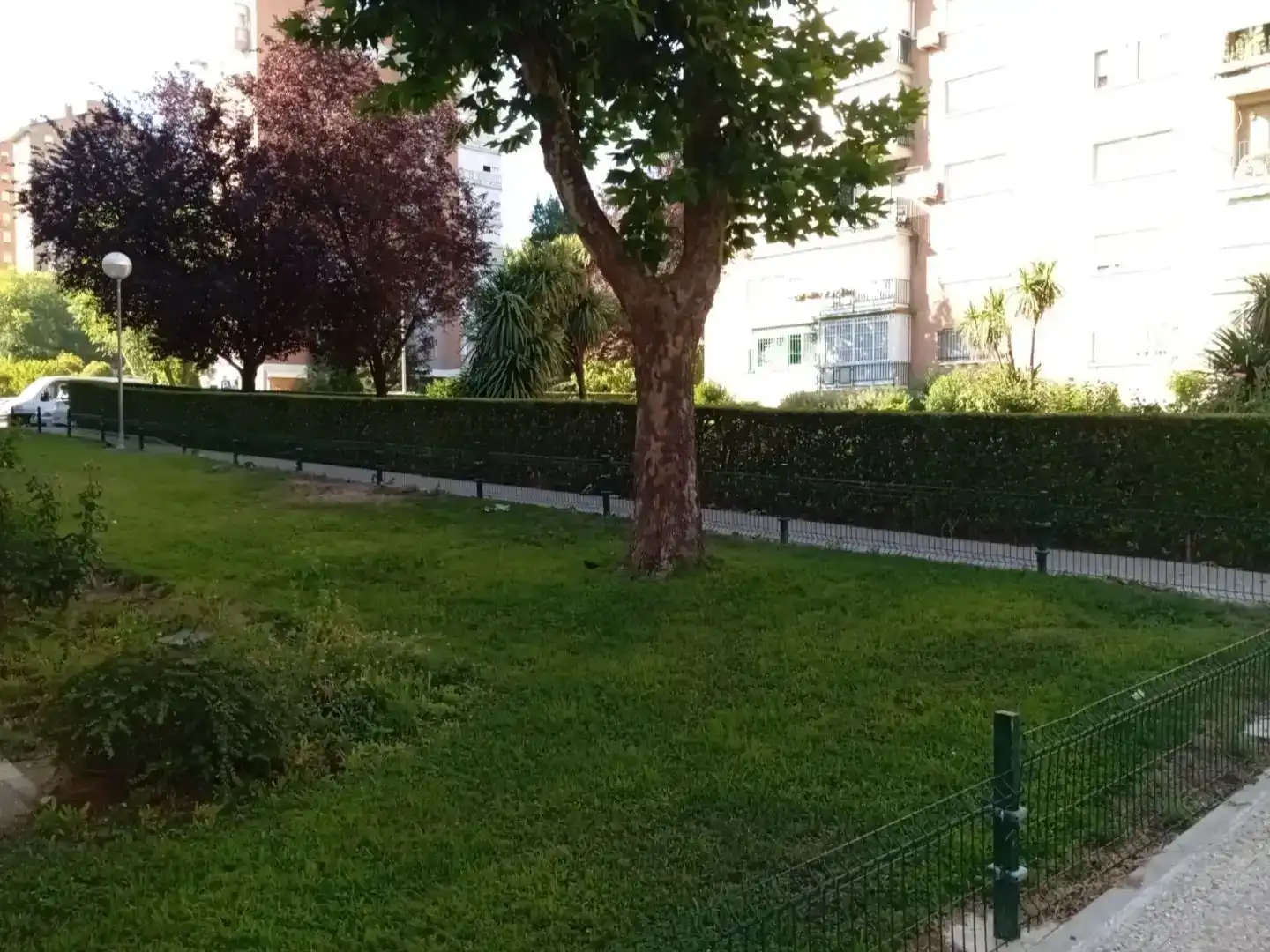 Garden of Flat for sale in  Madrid Capital  with Terrace