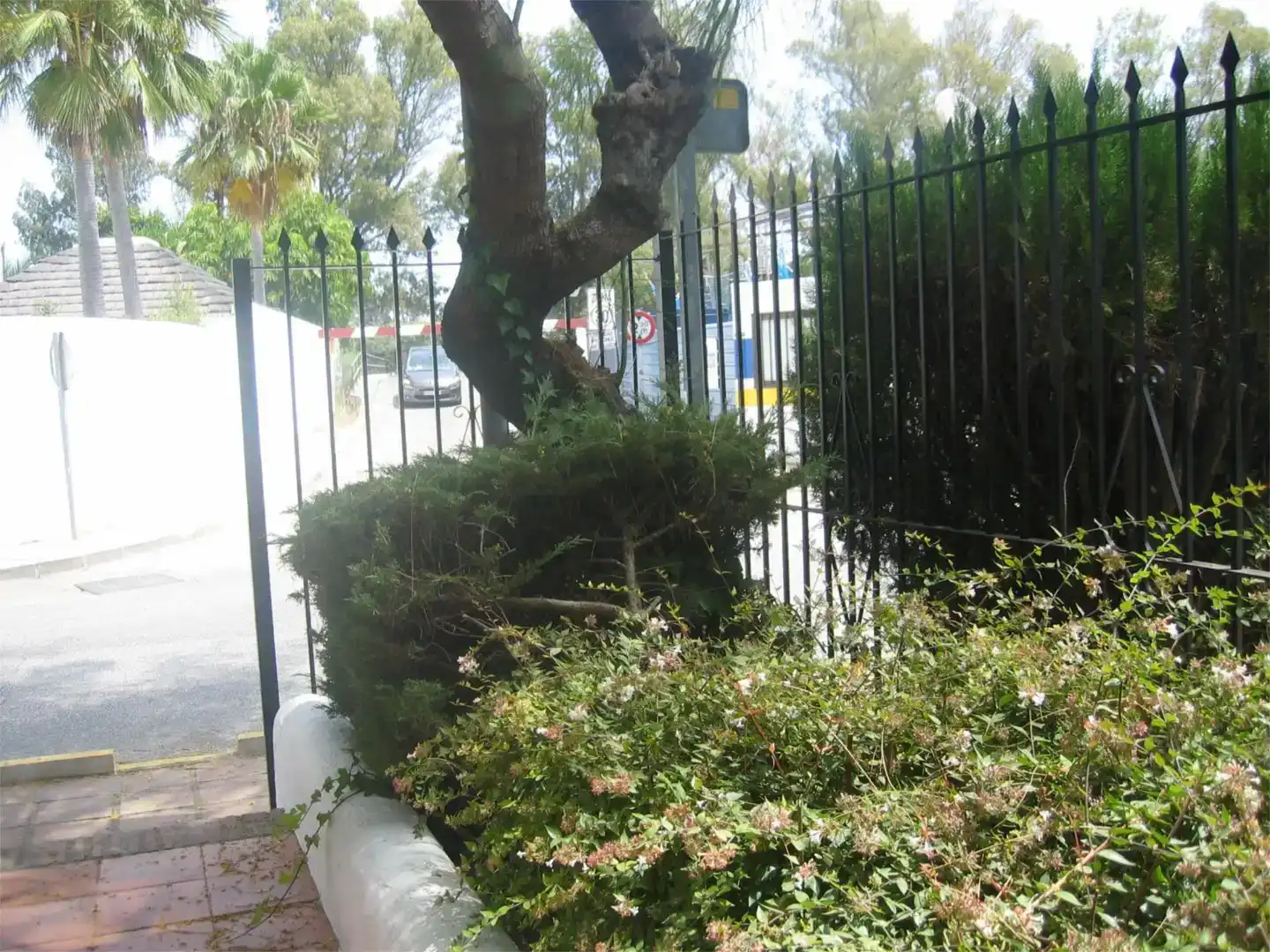 Vista exterior de Pis en venda en Estepona amb Aire condicionat, Jardí privat i Piscina