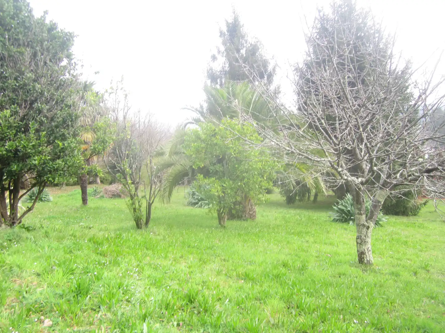 Terreno residencial en venta en Neda, imagen 6