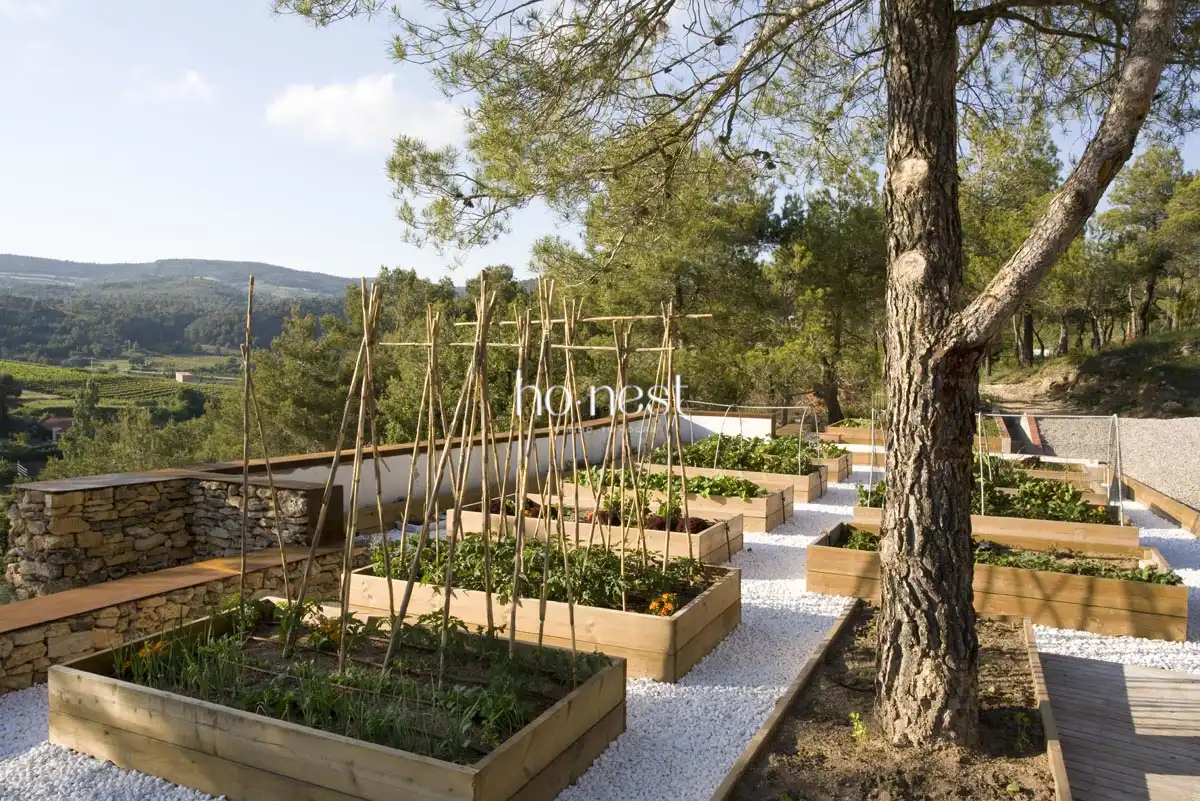 Jardí de Casa o xalet en venda en Pontons amb Calefacció, Jardí privat i Piscina