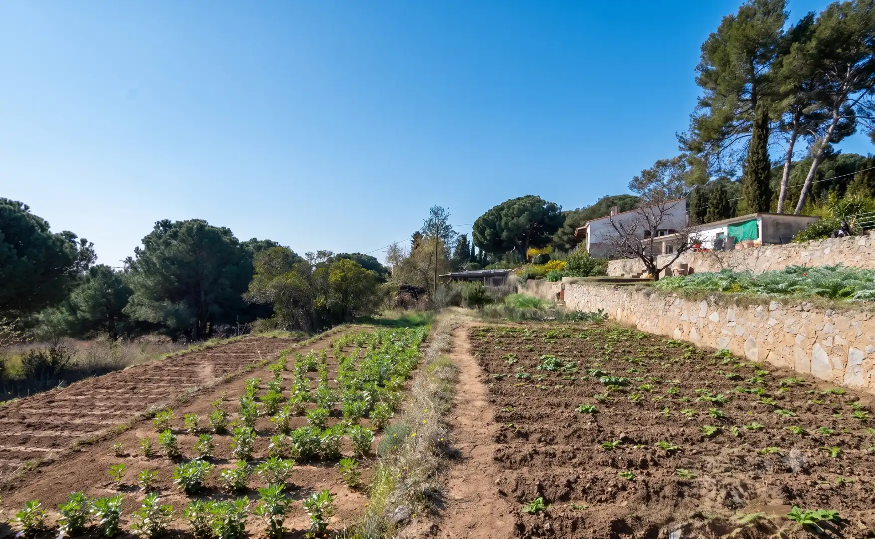 Villa avec piscine à vendre à Carrer Can Soberano, imagen 20