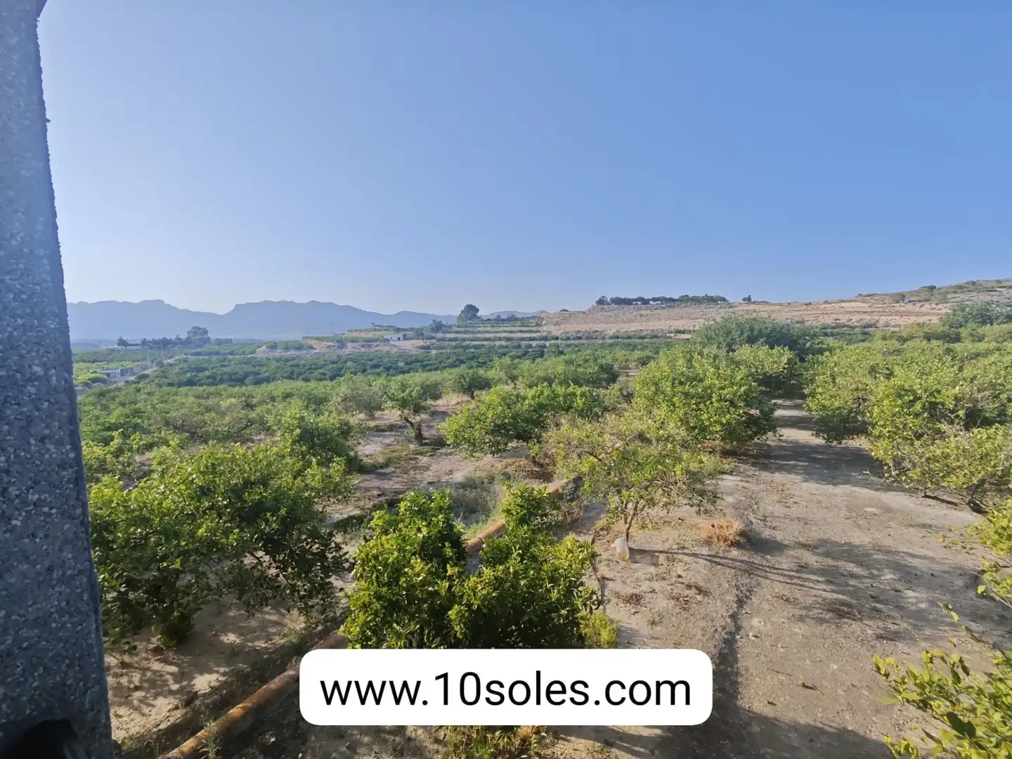 Terreno rustico in vendita a Desamparados - Hurchillo - Torremendo, imagen 6