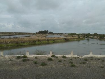 Terreno rustico in affitto a Los Franceses – La Vega