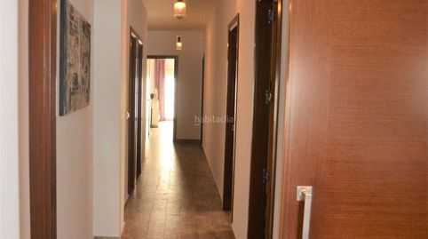 Cartaya / Calle Misericordia, imatge 4