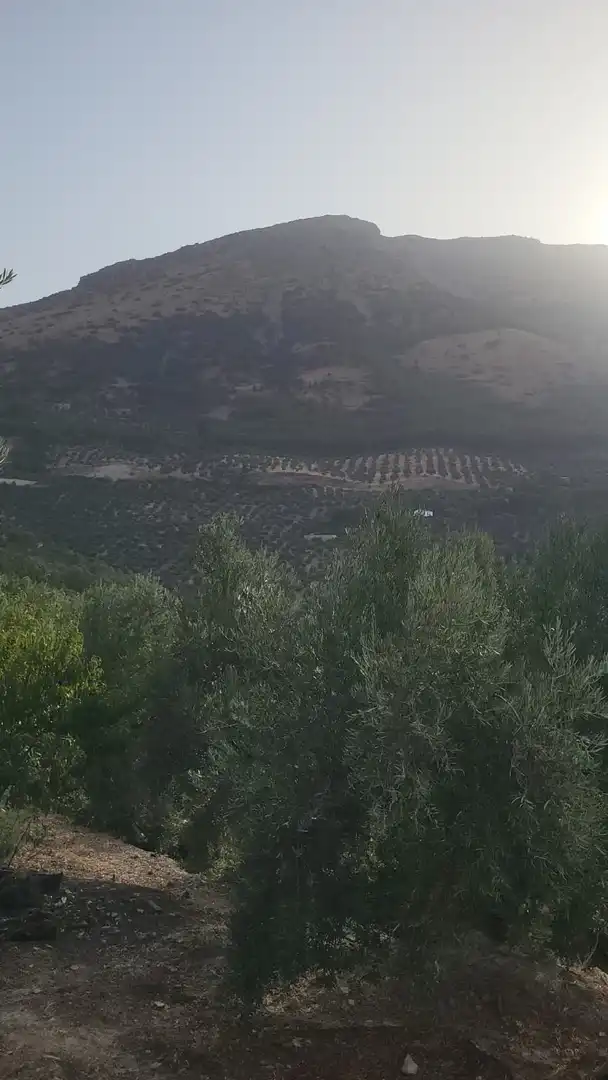 Jardín de Finca rústica en venta en Jaén