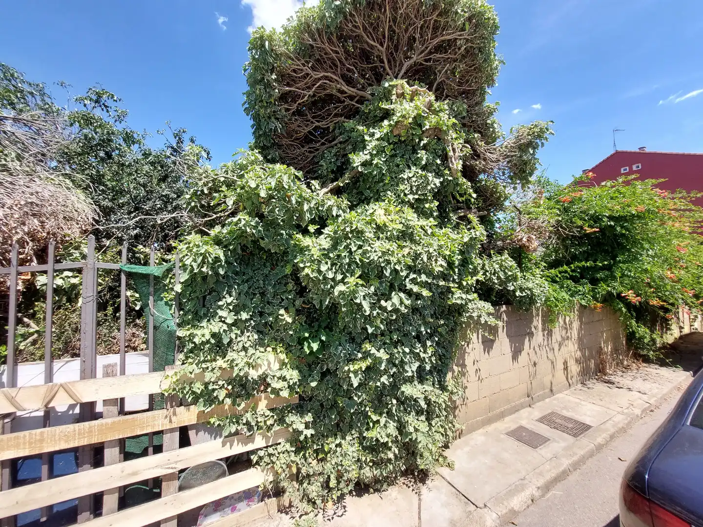 Terreni e lotti in vendita a Villaquilambre, imagen 2