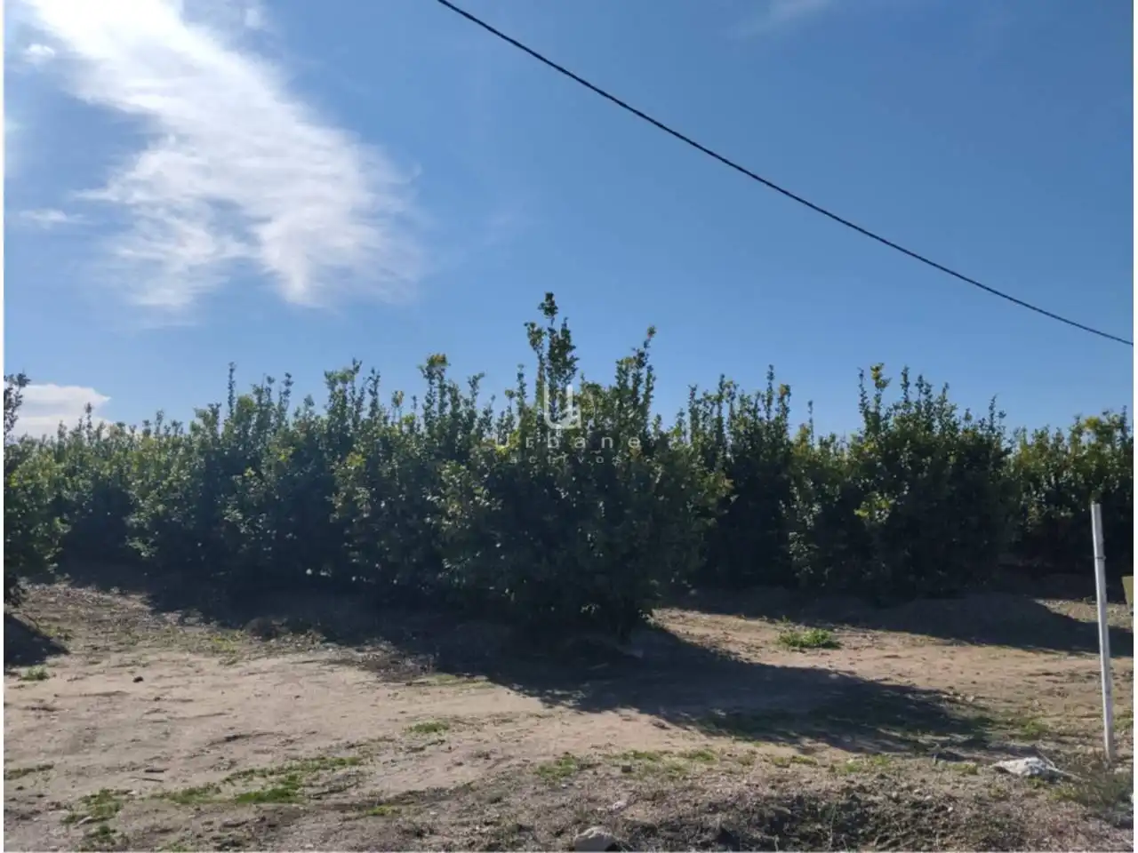 Terreny rústic en venda a Camino Huerta de Abajo, imagen 26
