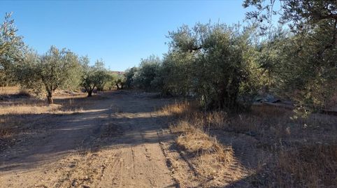 TERRENO URBANO EN VENTA., immagine 3