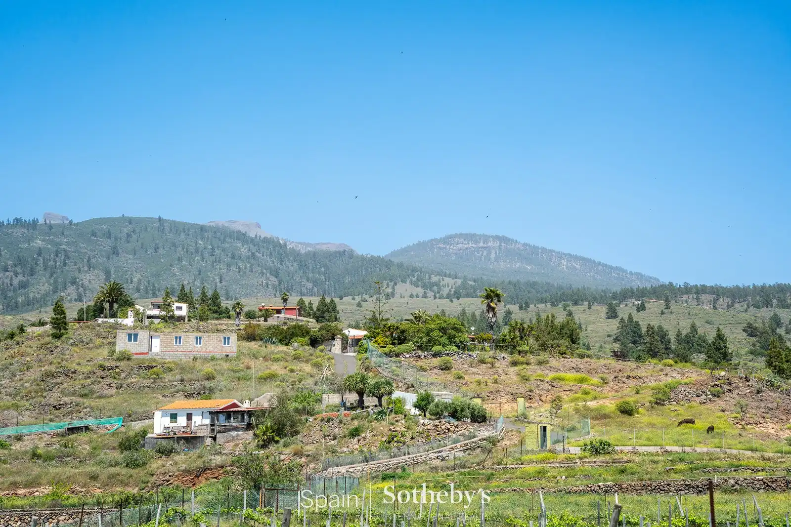 Residential for sale in Adeje