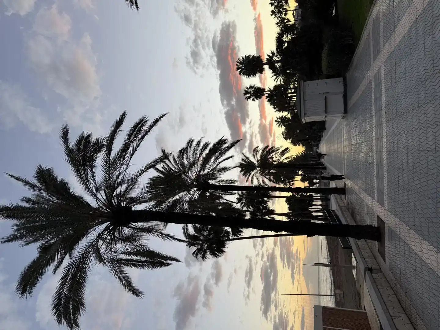 Vista exterior de Estudi de lloguer en Marbella amb Jardí privat, Piscina i Moblat