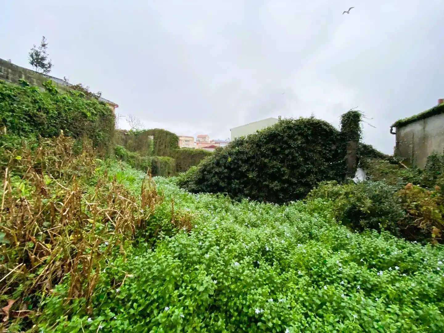 Finca rústica en venda en Fisterra amb Jardí privat
