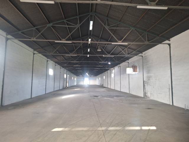 Nave industrial en Alquiler en Alcantarilla