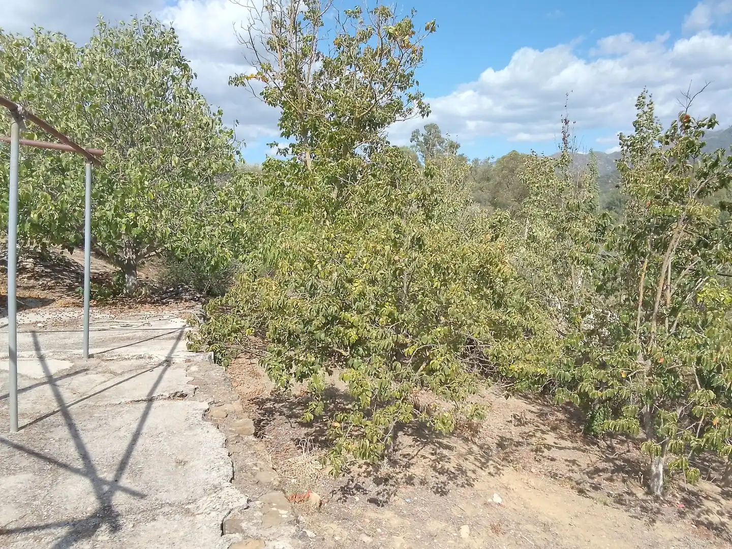 Terrain rustique à vendre à Cortes de la Frontera, imagen 39
