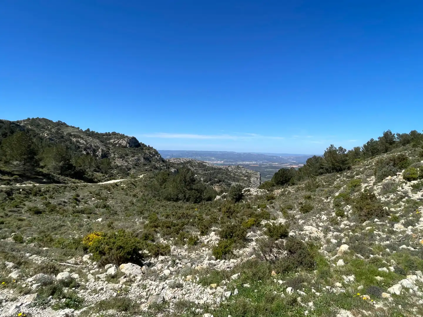 Terrain rustique à vendre à Tivissa, imagen 15