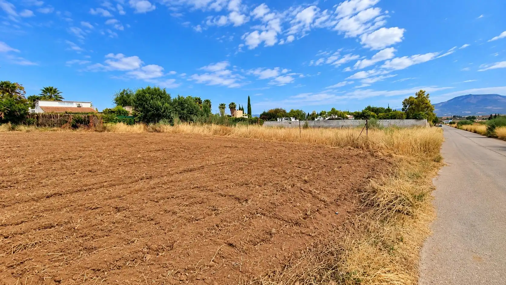 Terreno rústico en venta en Moraleda de Zafayona, imagen 4