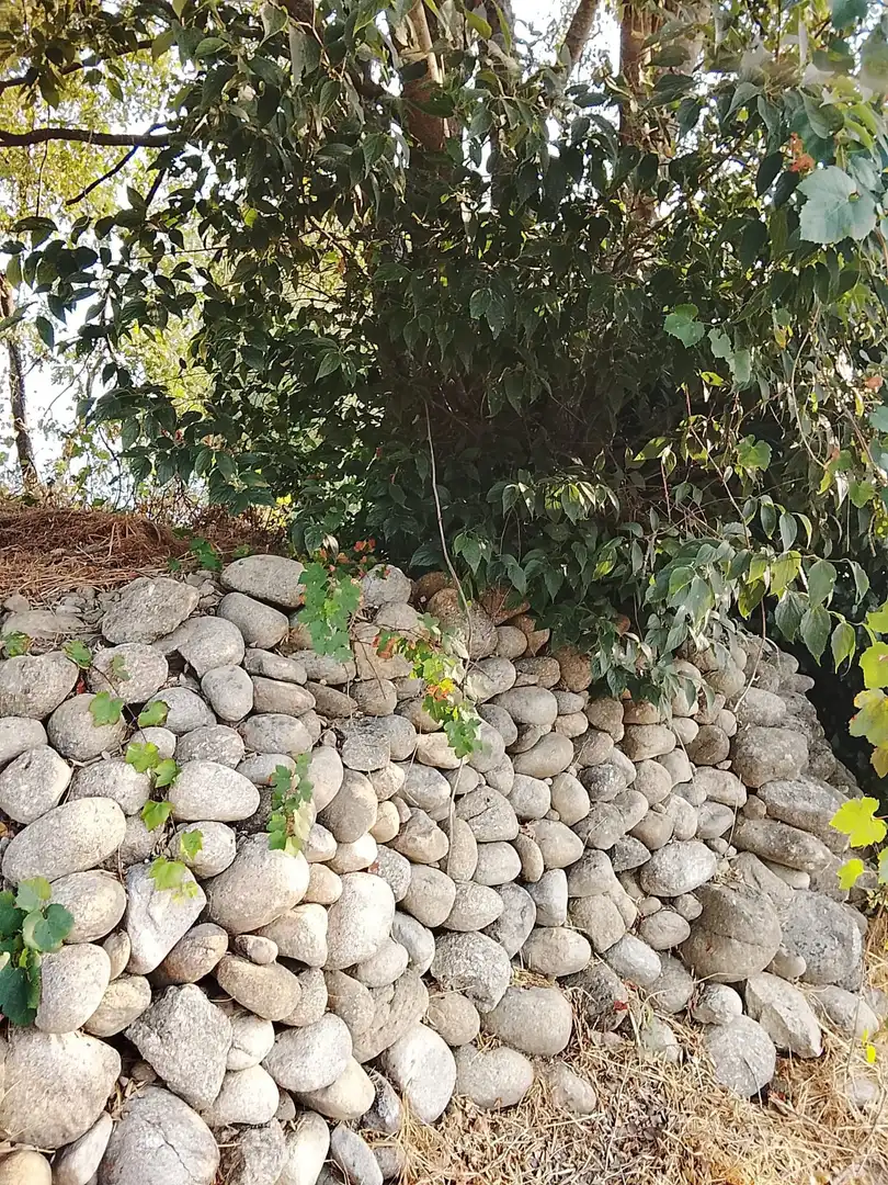 Terreni e lotti in vendita a Villanueva de la Vera, imagen 18