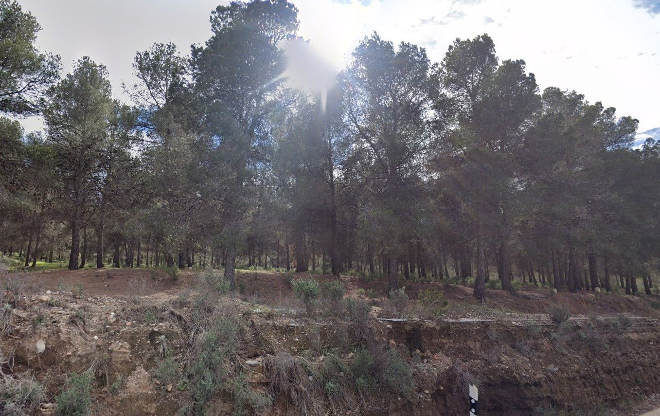 Terreno en venta en Armuña de Almanzora