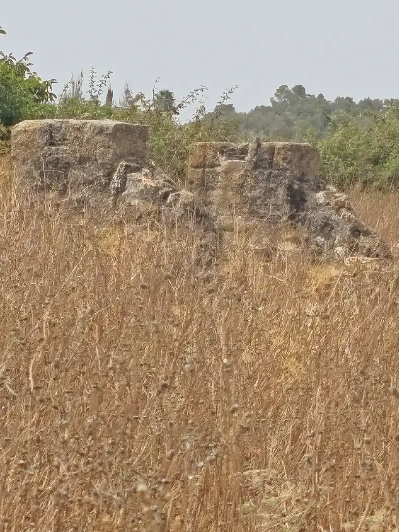 Grundstücke zum Verkauf in Sant Joan