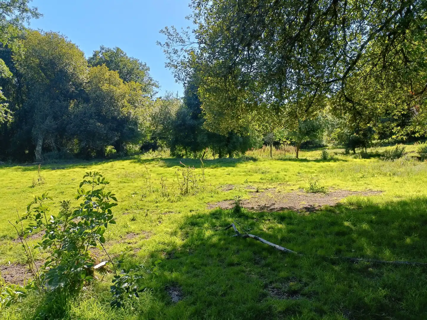Casa o chalet en venta en Oza dos Ríos con Jardín privado y Trastero