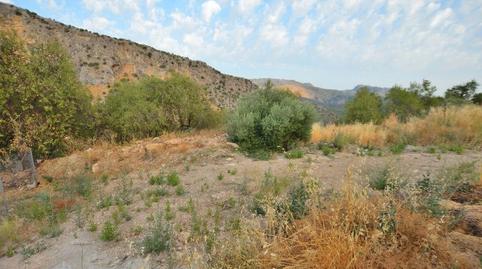 Foto 2 de Residencial en venta en Montejaque, Málaga