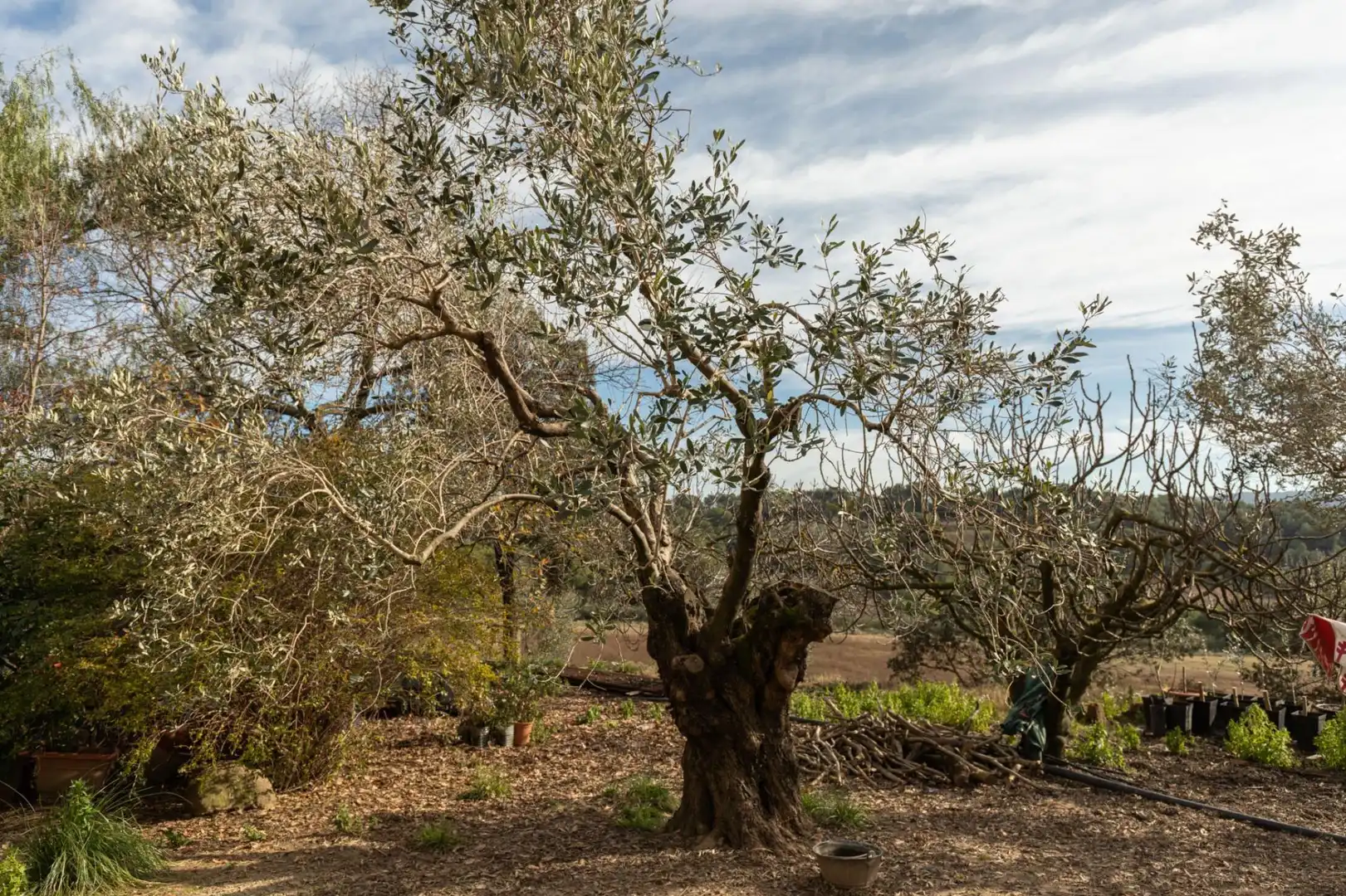 Casa rústica con jardín en venta en Polígono 9 Paraje 54 SOT DE CAN GOITA 75, imagen 96